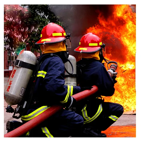 Banskhali Nagorik Seba