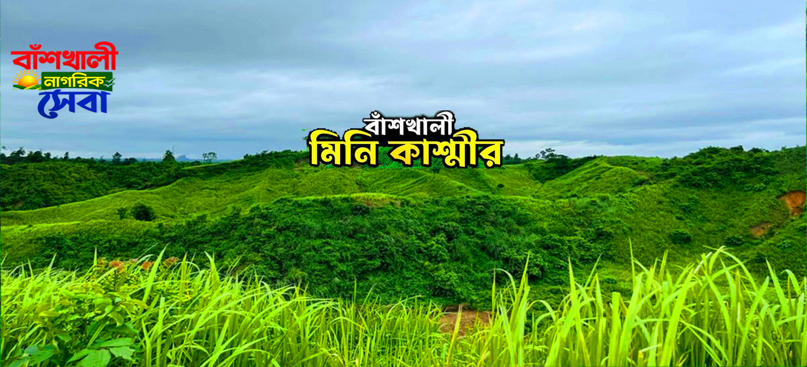 বাঁশখালী নাগরিক সেবা 