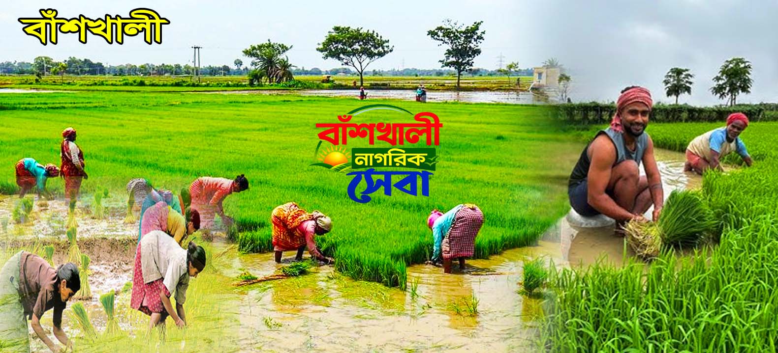 বাঁশখালী নাগরিক সেবা 