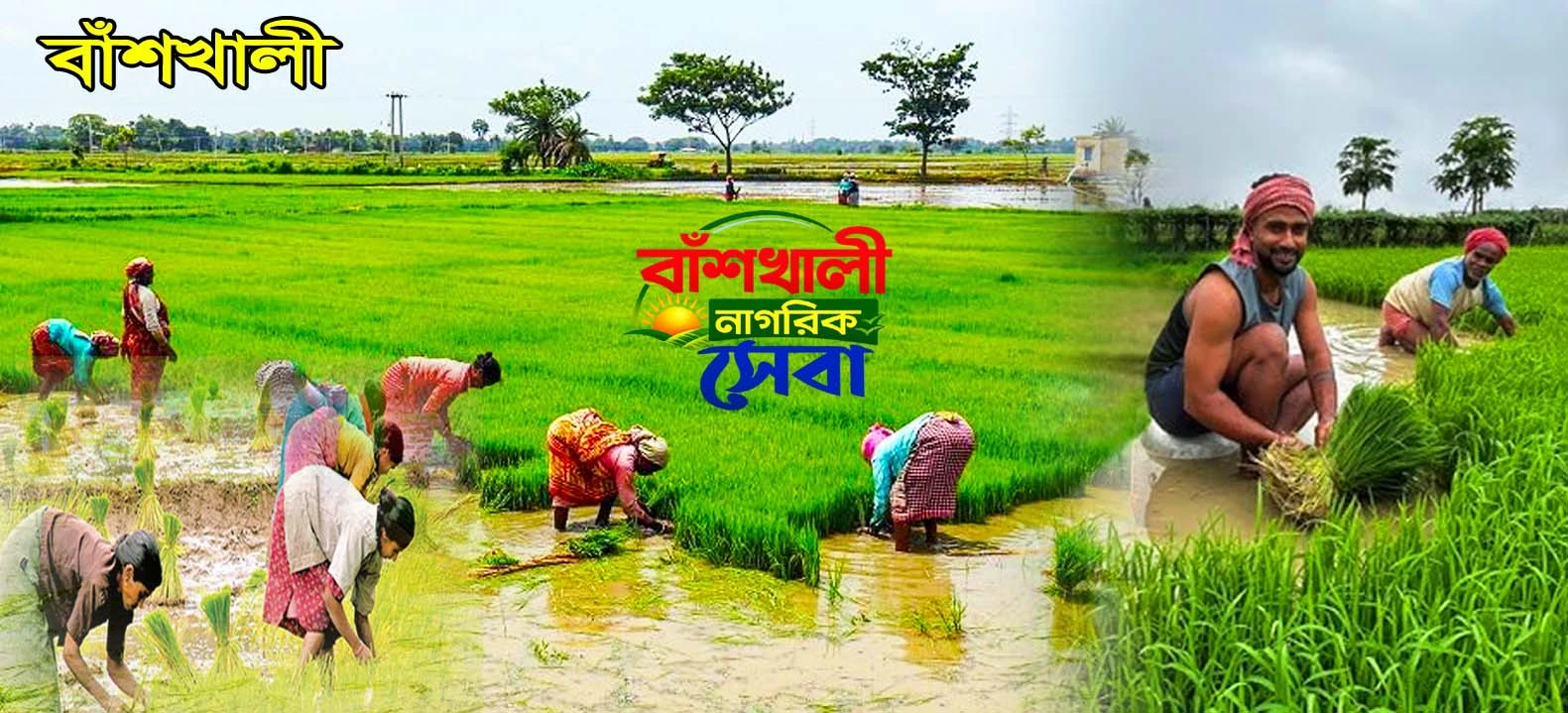 বাঁশখালী নাগরিক সেবা 